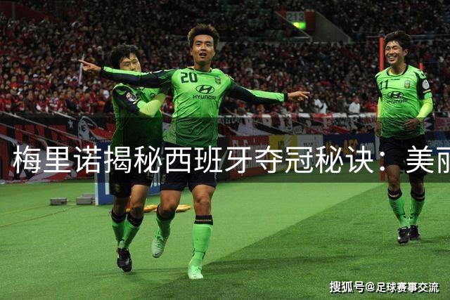 梅里诺揭秘西班牙夺冠秘诀：美丽足球与持续进化